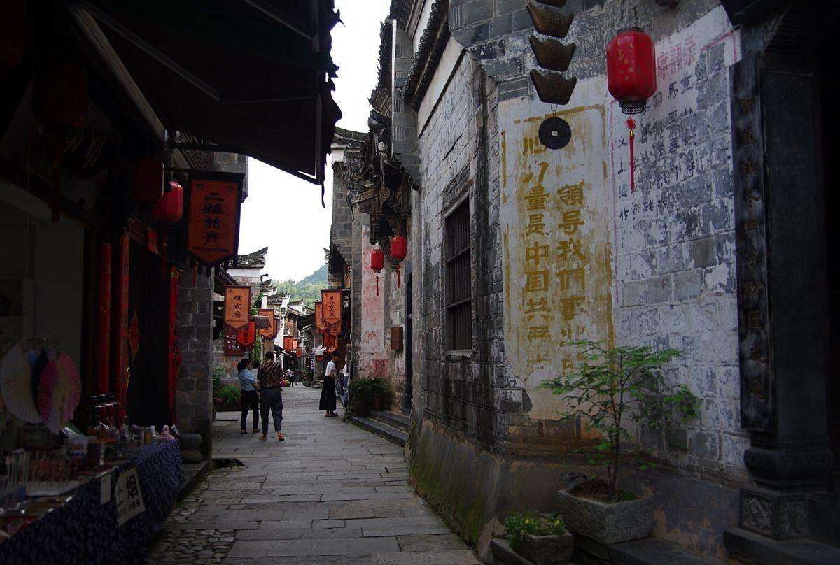 鸡为什么吃完东西后为什么要吃石子-知识星球平台,知识分享与学习的乐园